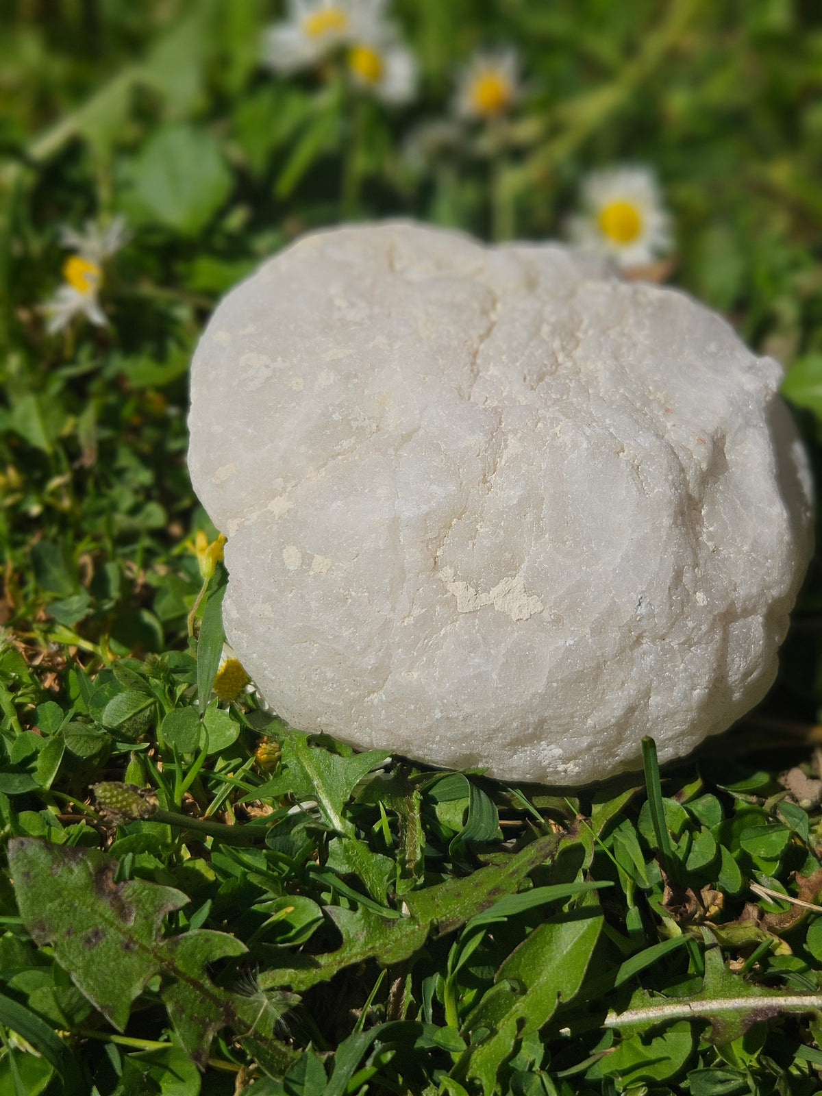 Small Quarts Geodes