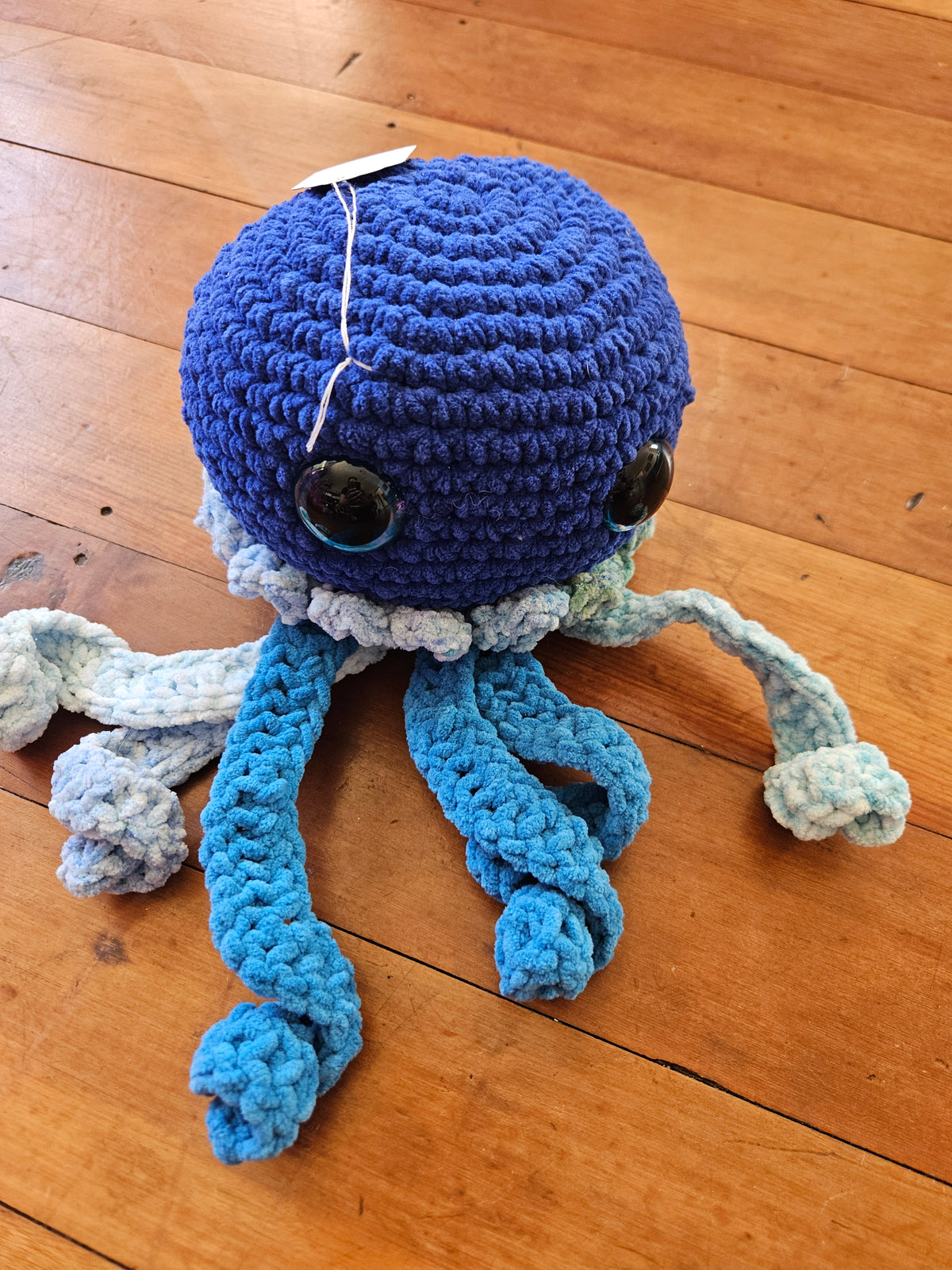 Jellyfish