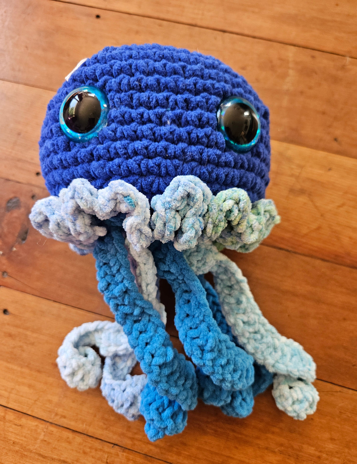 Jellyfish