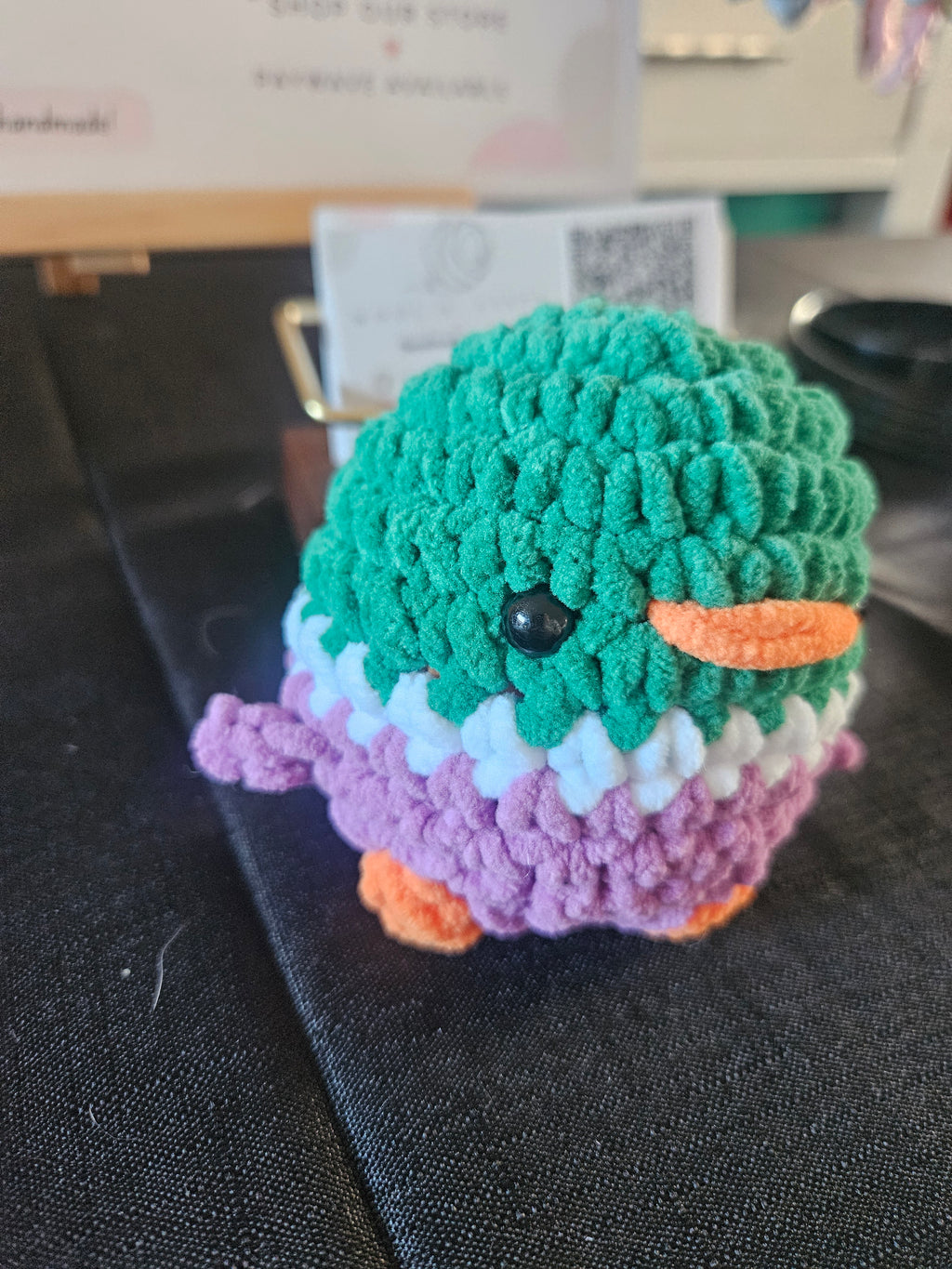 Mallard Duck