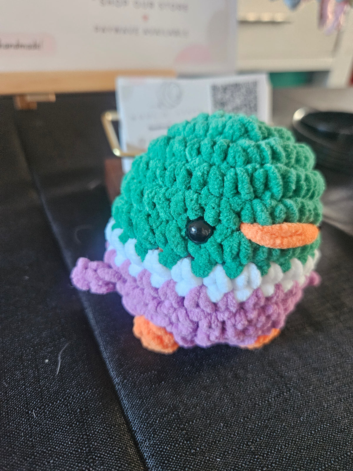 Mallard Duck
