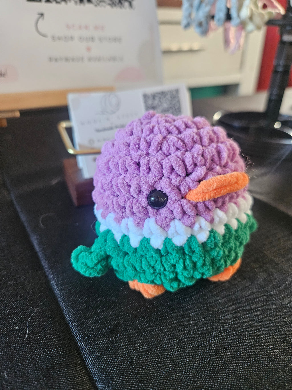 Mallard Duck