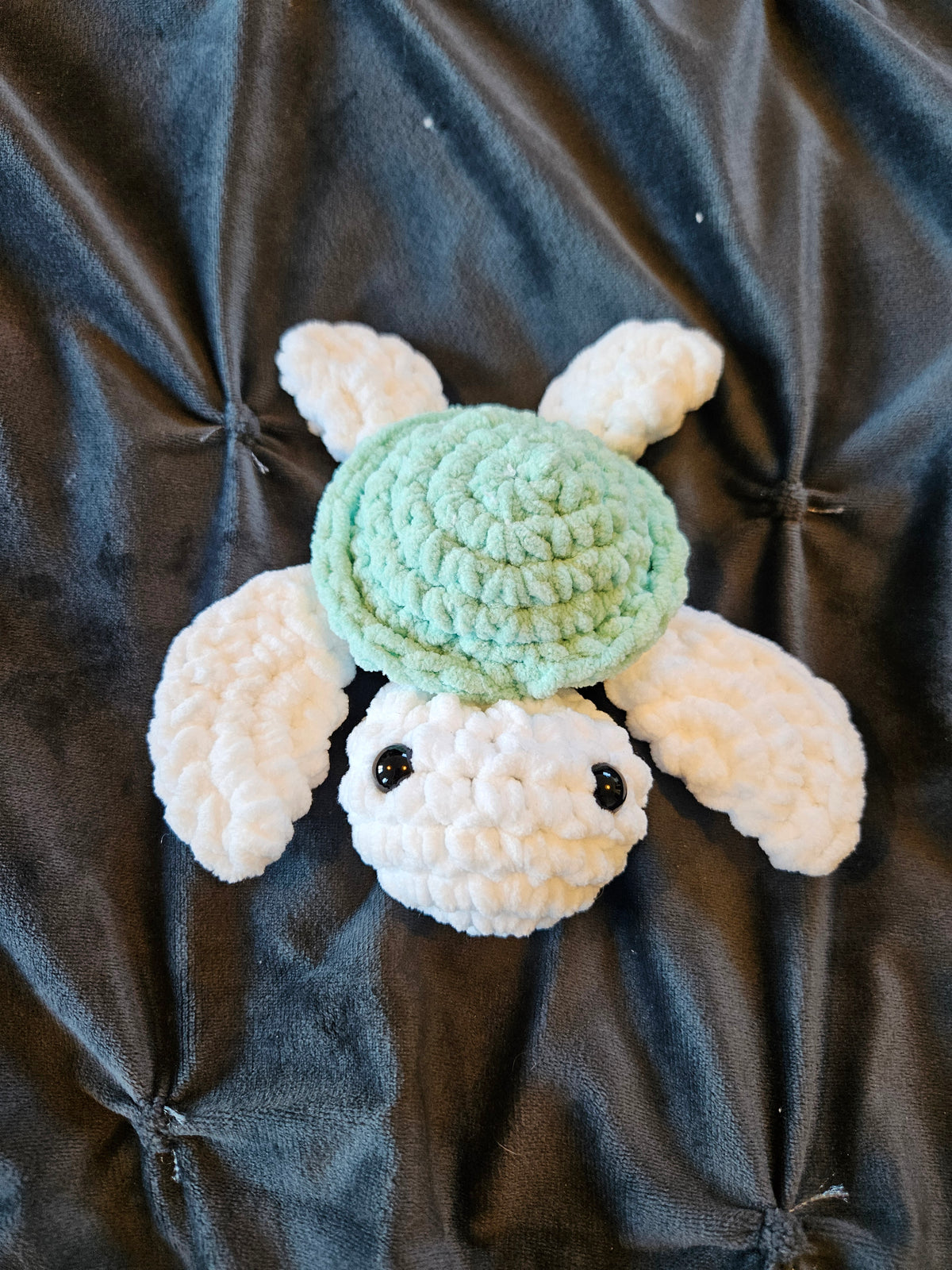Mini Turtle