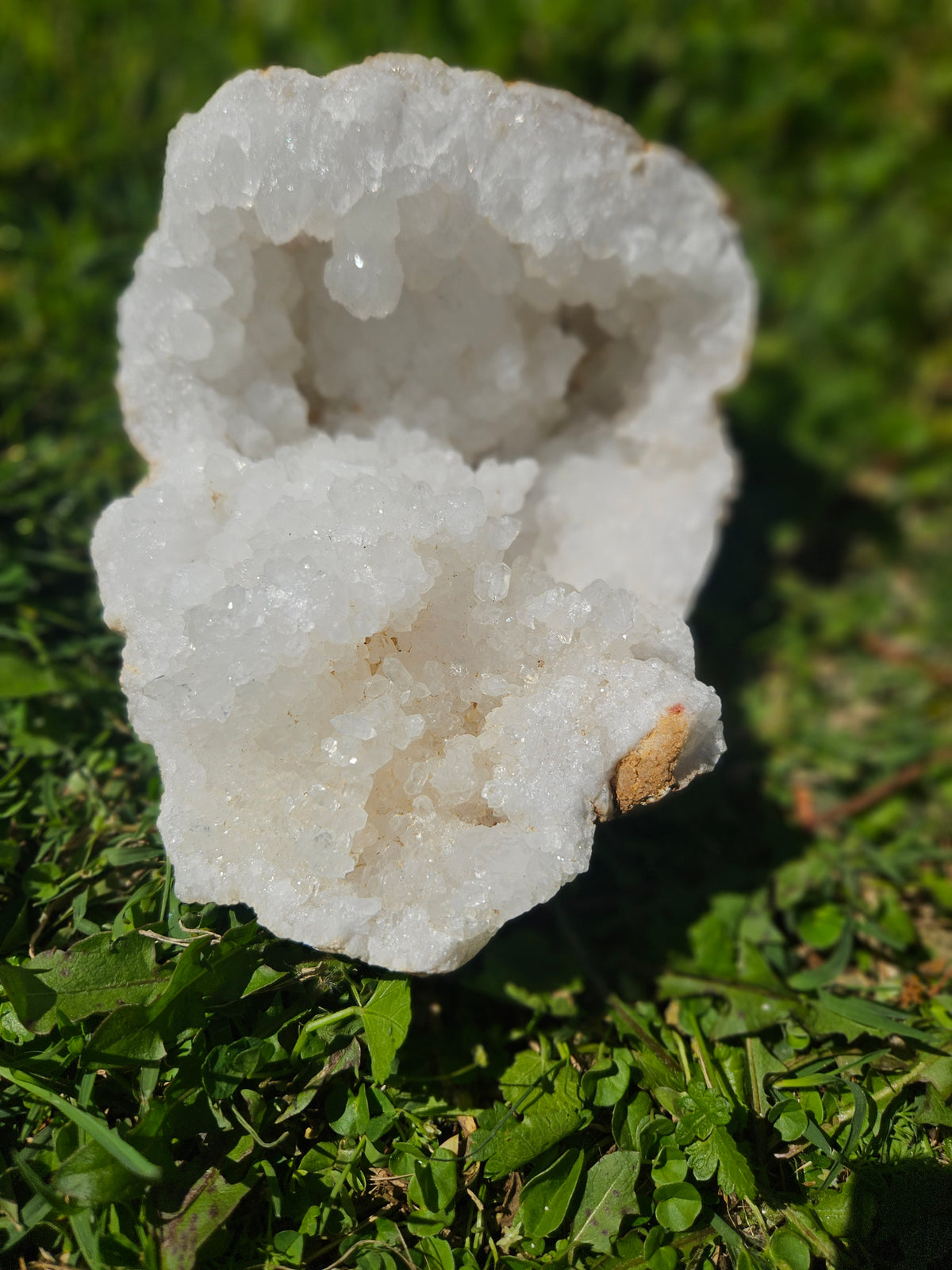 Meduim Quarts Geodes