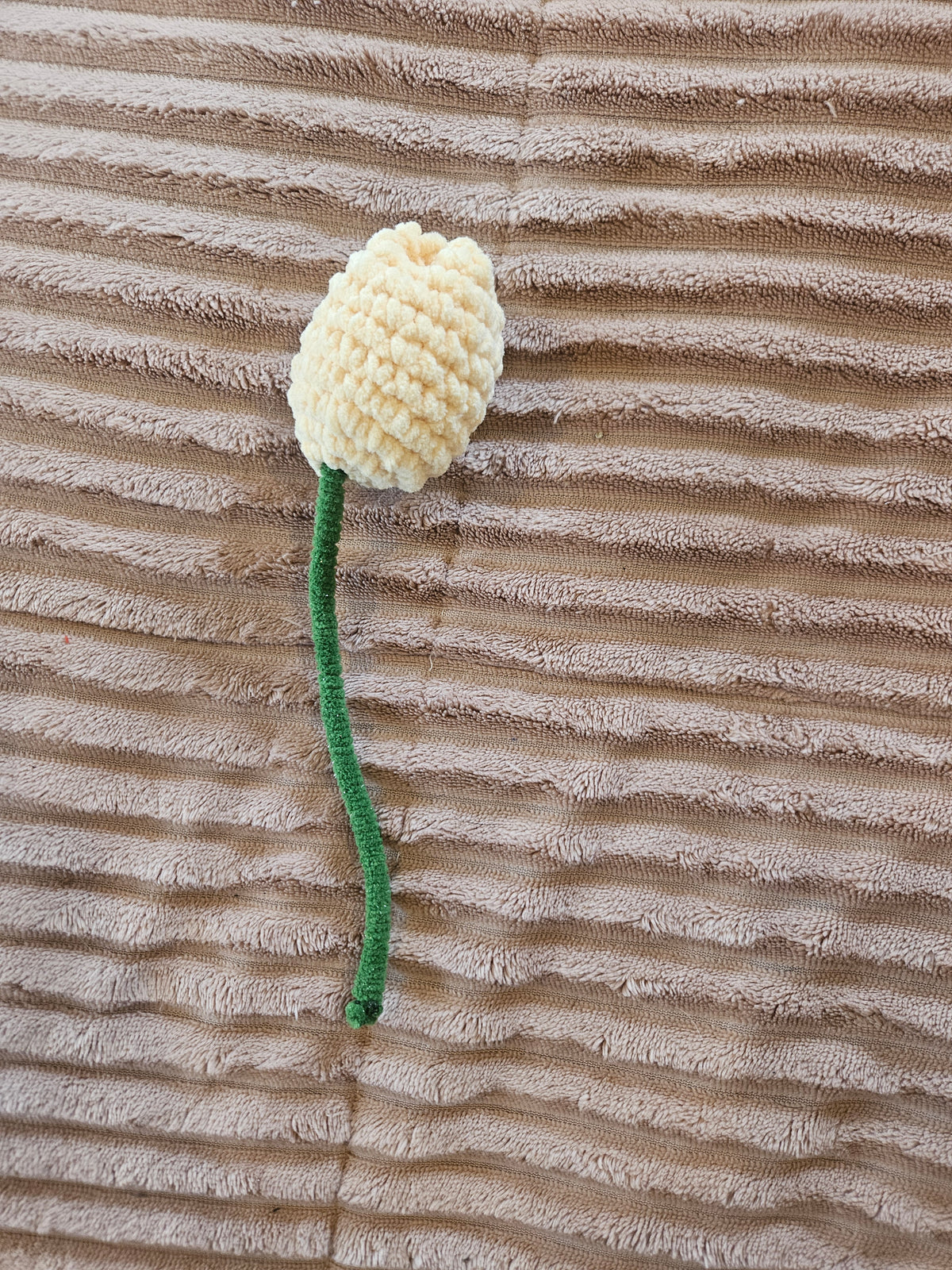 Tulip