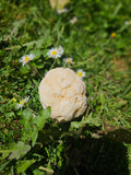 Small Quarts Geodes