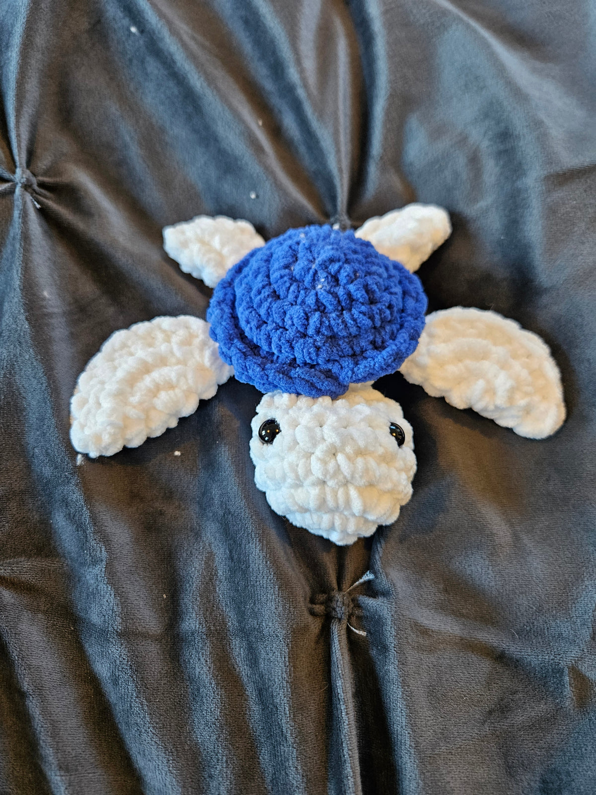Mini Turtle