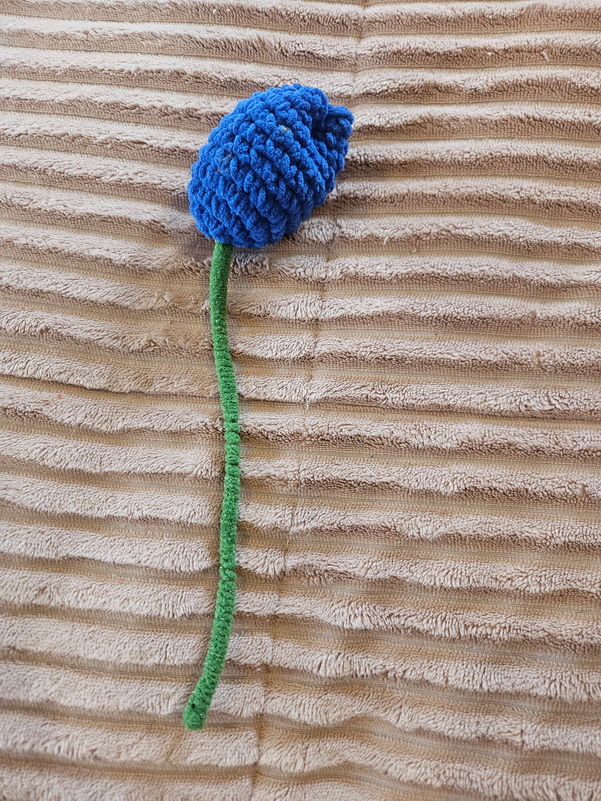 Tulip