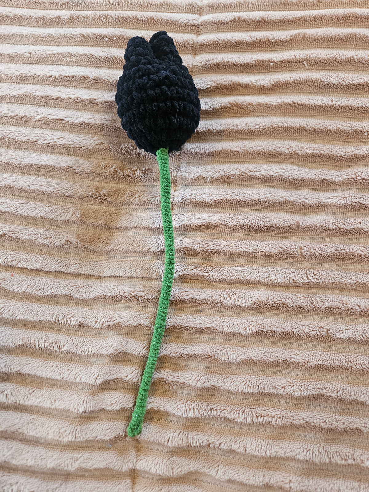 Tulip