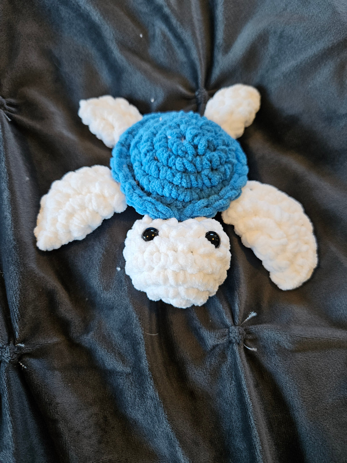 Mini Turtle