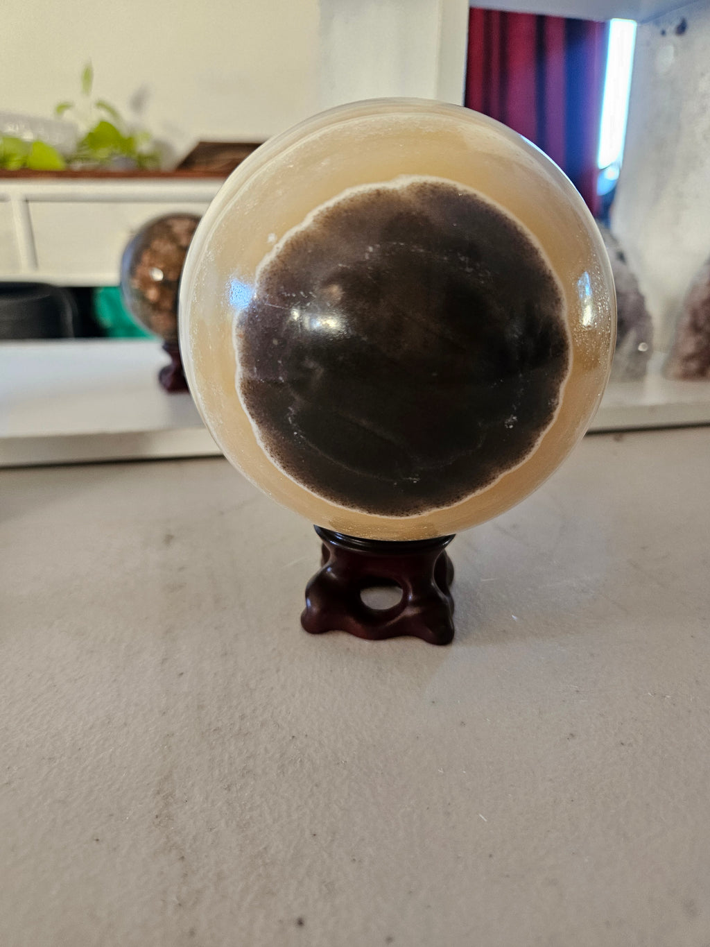 Large Cebra Sphere
