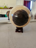 Large Cebra Sphere