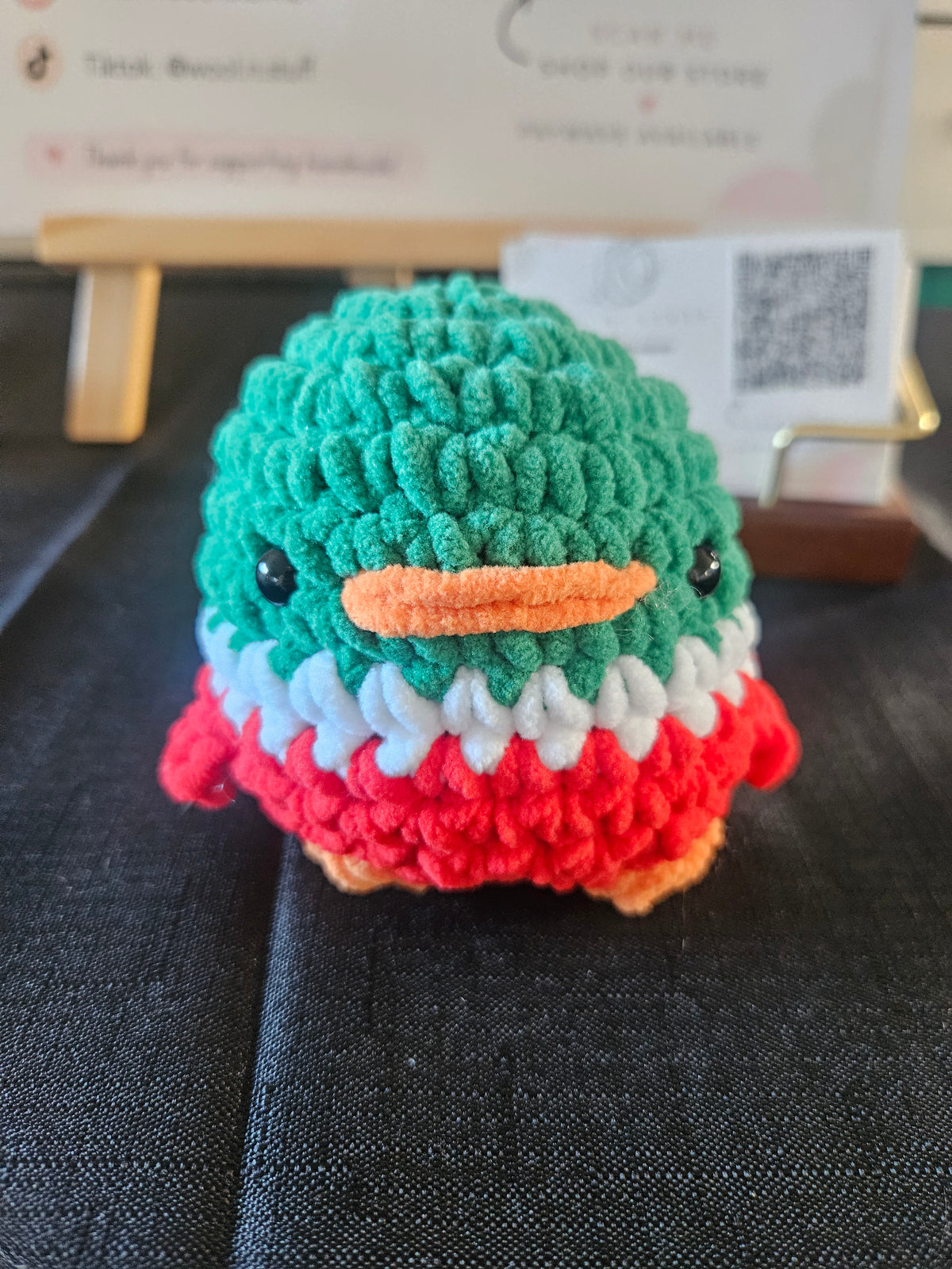 Mallard Duck