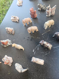 Small Animals