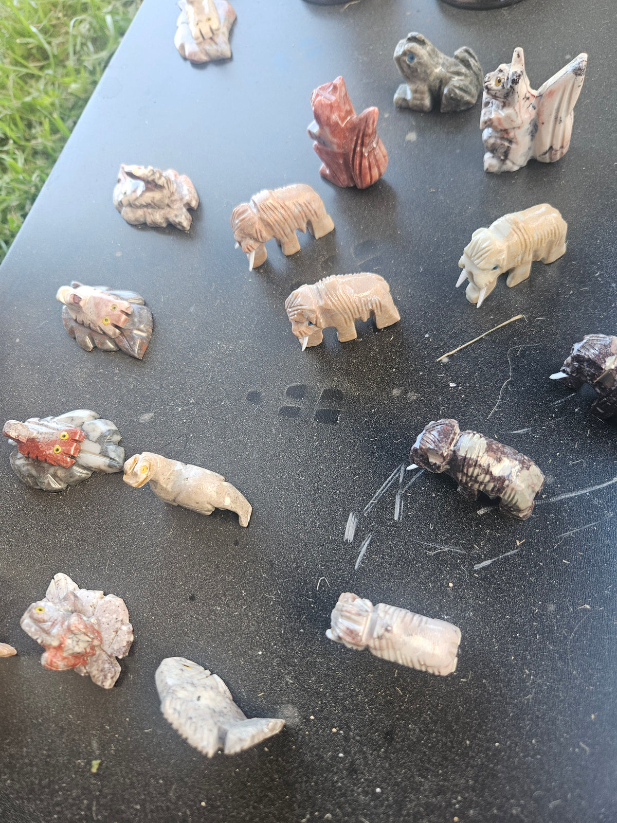 Small Animals