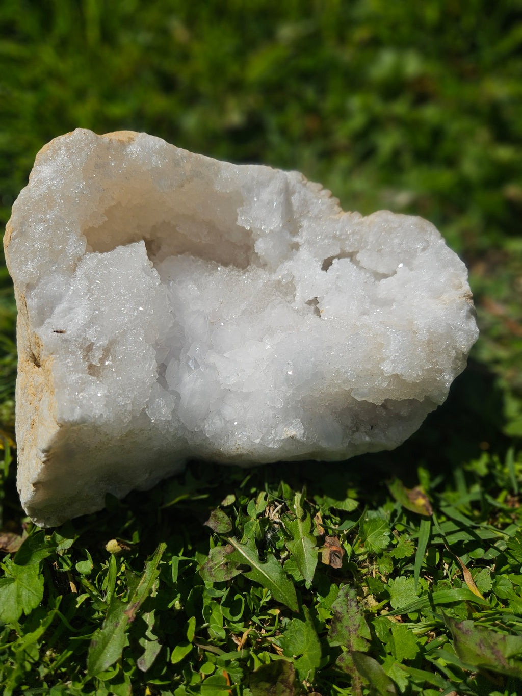 Meduim Quarts Geodes
