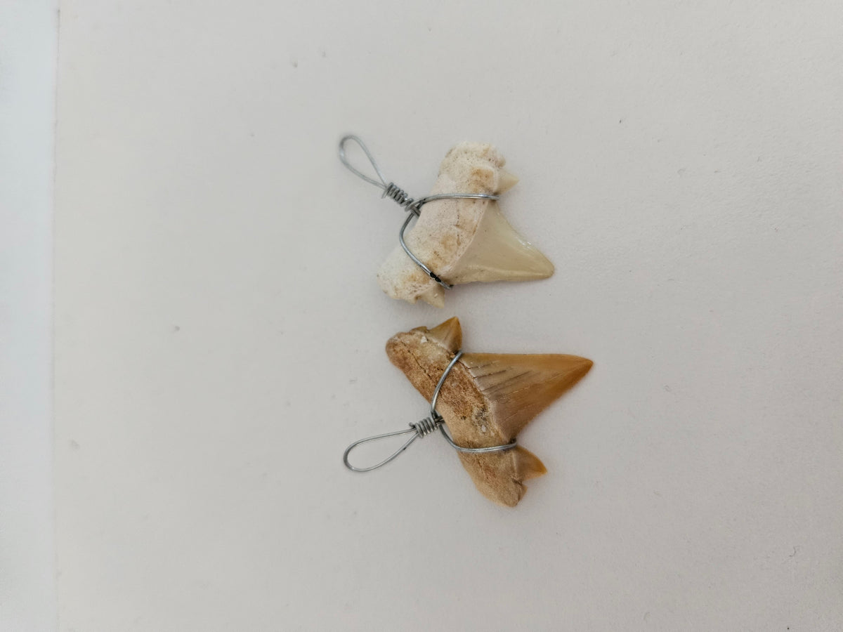 Wire Shark Tooth
