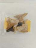 Shark Tooth Packet